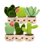 6 PCS Crocheting Succulents