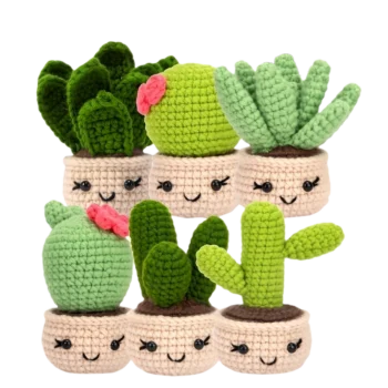 6 PCS Crocheting Succulents