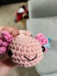 Axolotl 2 Pack Crochet Kit photo review