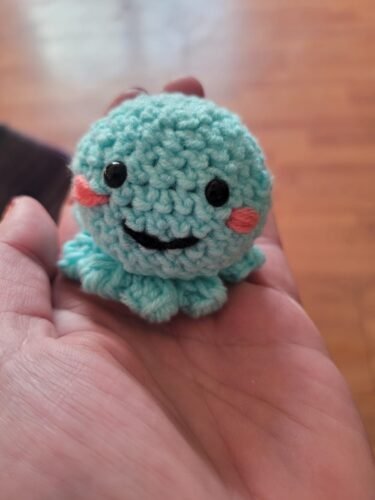 2 Octopus Crochet Kit photo review