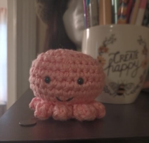 2 Octopus Crochet Kit photo review