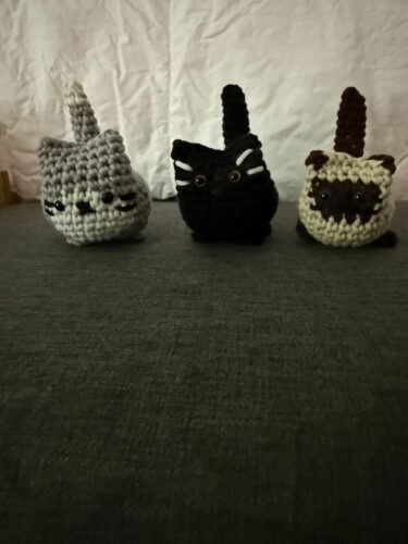 Crochet Cat Beginner Crochet Kit photo review