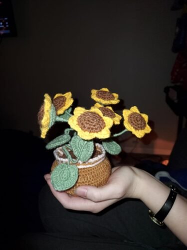 Sunflower Crochet Kit photo review