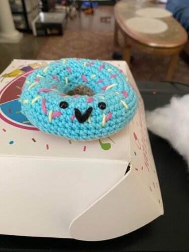 6 Pack Donuts Crochet Kit photo review