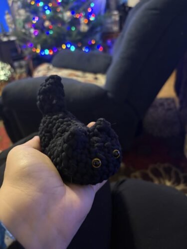 Crochet Cat Beginner Crochet Kit photo review