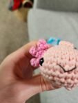 Axolotl 2 Pack Crochet Kit photo review