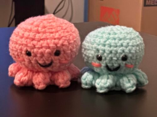 2 Octopus Crochet Kit photo review