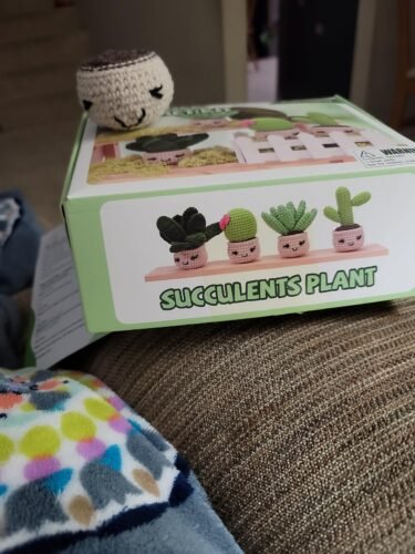 6 PCS Crocheting Succulents photo review