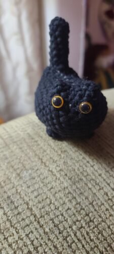 Crochet Cat Beginner Crochet Kit photo review