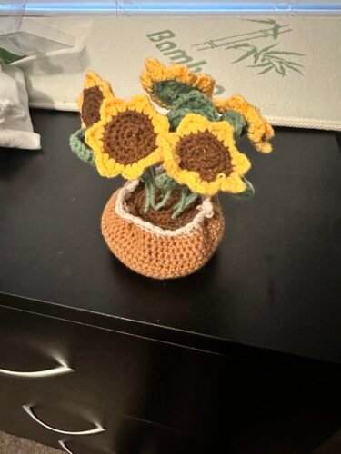 Sunflower Crochet Kit photo review