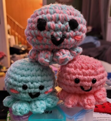 2 Octopus Crochet Kit photo review