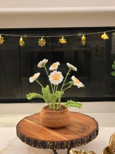 A-Little Daisy Crochet Kit photo review