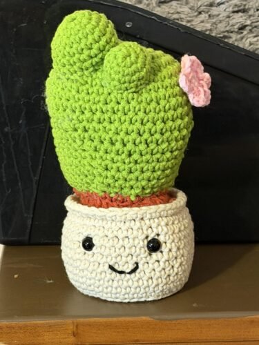 6 Pack Hanging Potted Plants photo review