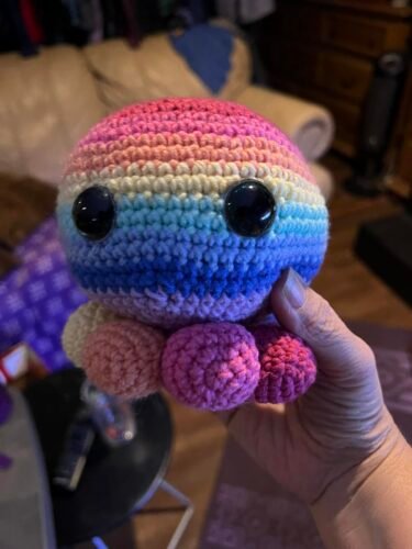 3 Colorful Octopus Crochet Kit photo review