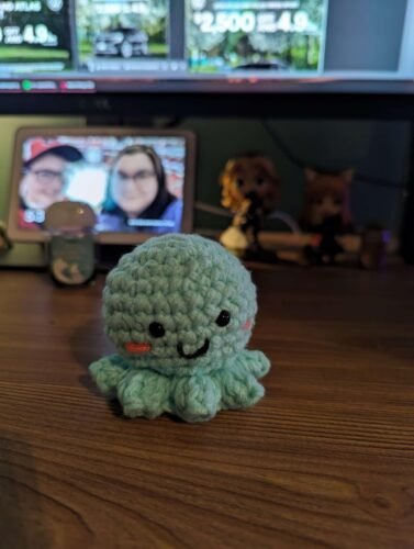 2 Octopus Crochet Kit photo review