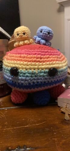 3 Colorful Octopus Crochet Kit photo review