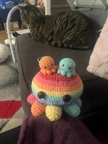 3 Colorful Octopus Crochet Kit photo review