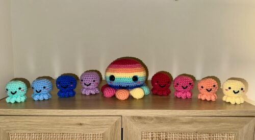 3 Colorful Octopus Crochet Kit photo review