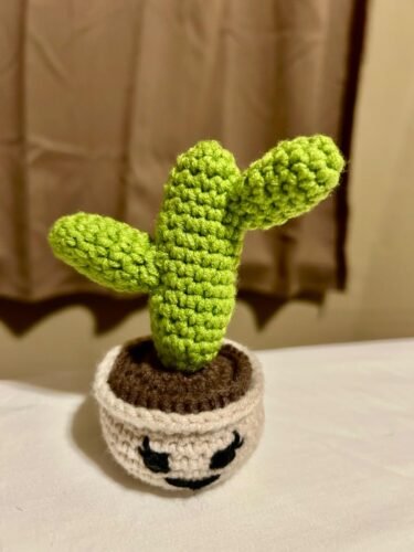 6 PCS Crocheting Succulents photo review