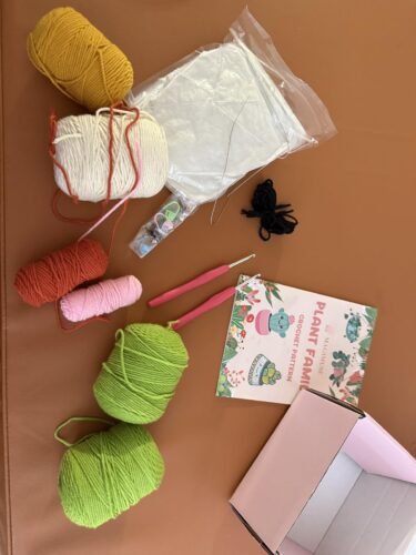 6 Pack Hanging Potted Plants photo review