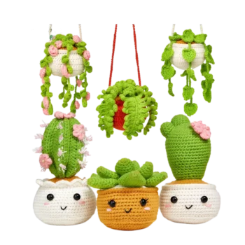 6 Pack Hanging Potted Plants